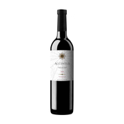 Arcano - Ribera del Duero 'Accentus' Tempranillo 2020